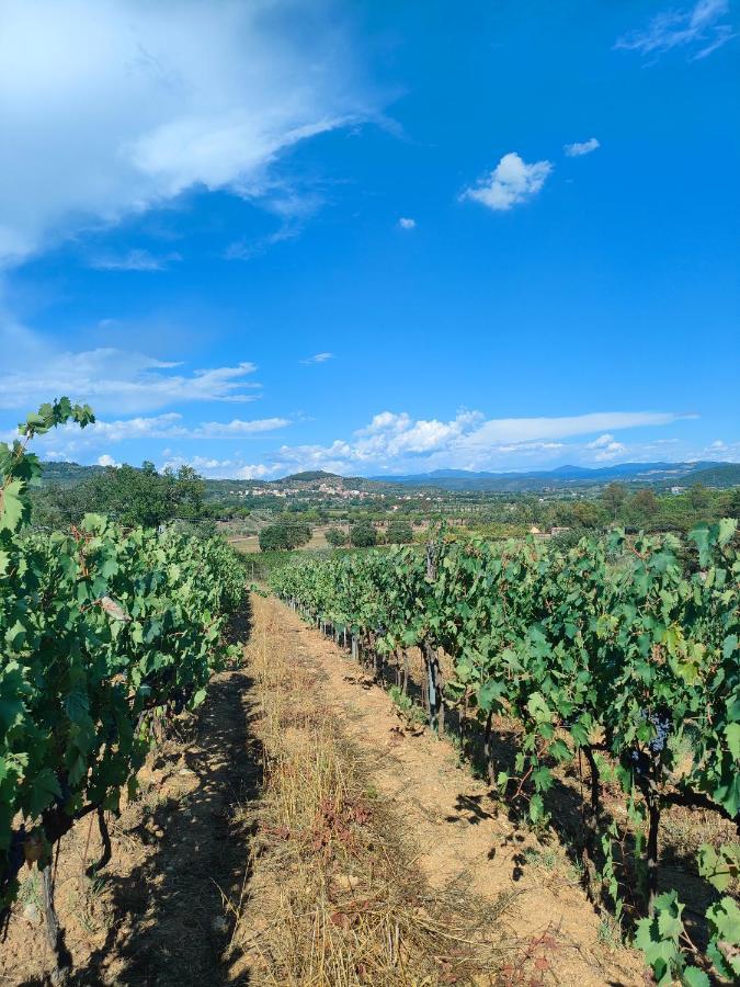 Agriturismo Colle Vento ชูเวเรโต ภายนอก รูปภาพ