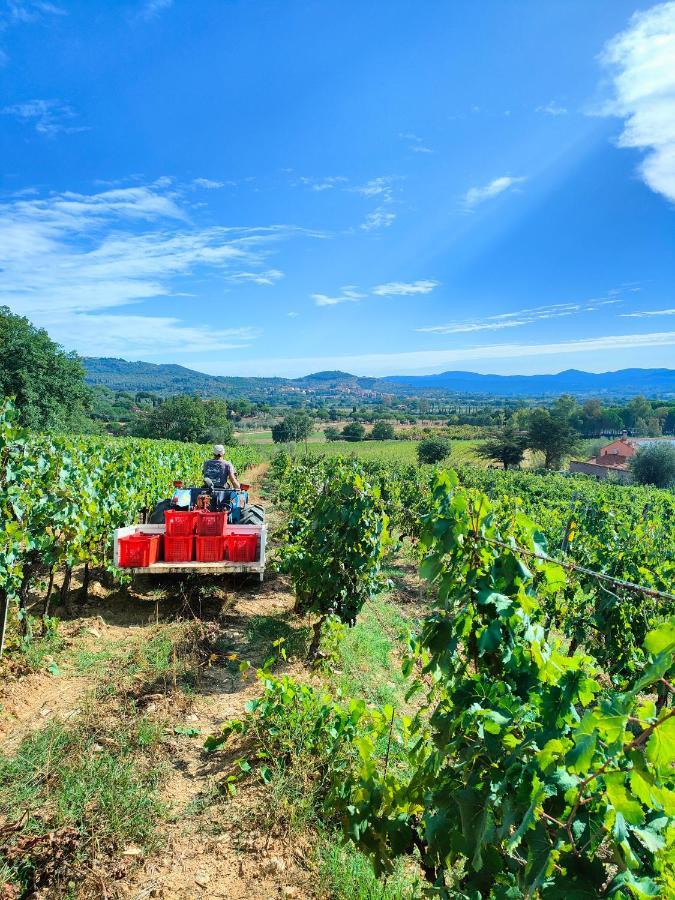 Agriturismo Colle Vento ชูเวเรโต ภายนอก รูปภาพ