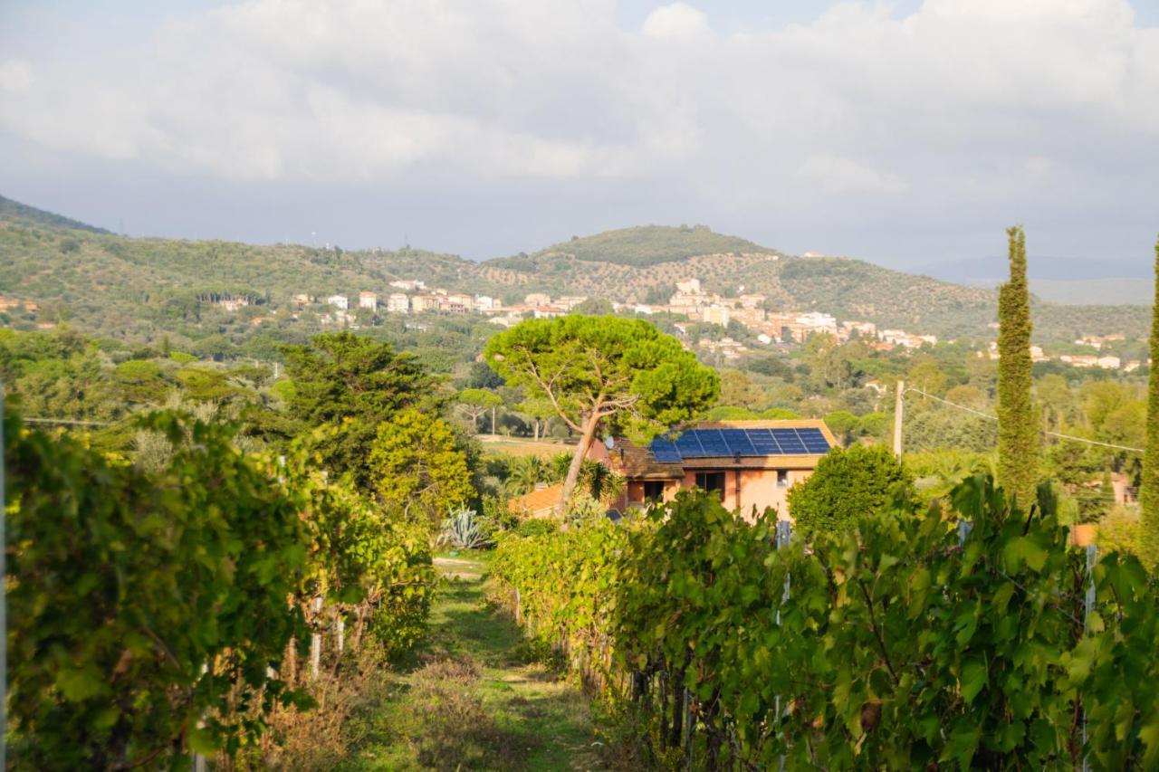 Agriturismo Colle Vento ชูเวเรโต ภายนอก รูปภาพ